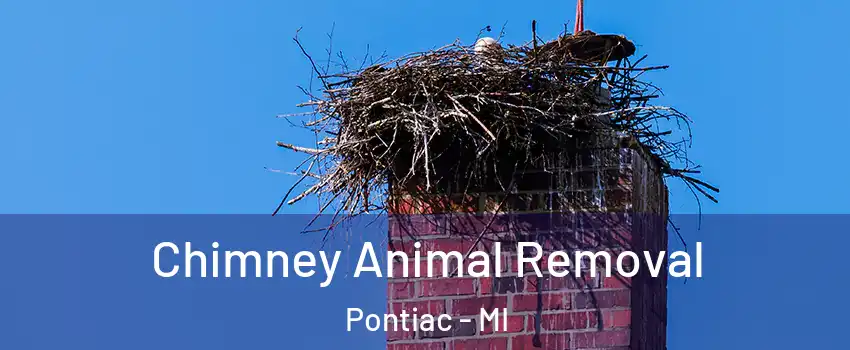 Chimney Animal Removal Pontiac - MI