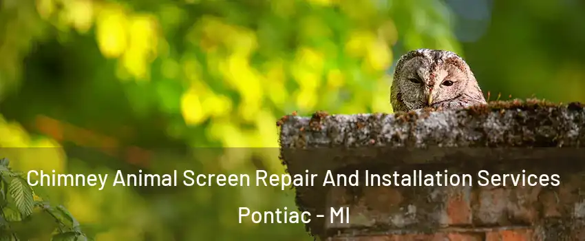  Chimney Animal Screen Repair And Installation Services Pontiac - MI