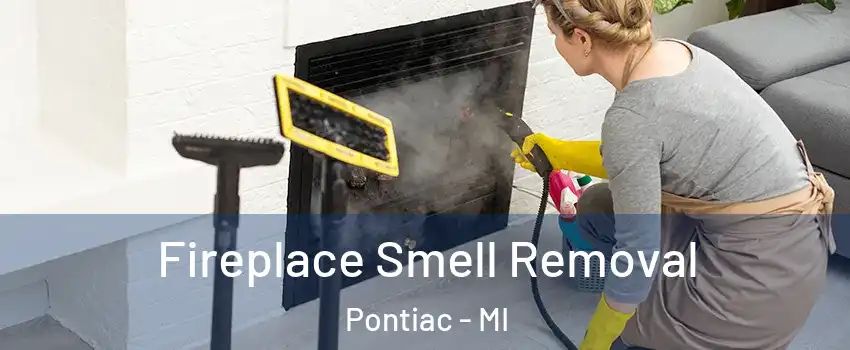  Fireplace Smell Removal Pontiac - MI