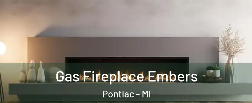  Gas Fireplace Embers Pontiac - MI