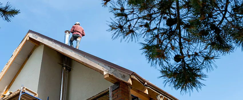 Birds Removal Contractors from Chimney in Pontiac, MI