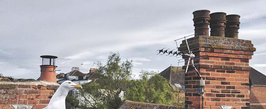 Chimney Cleaning And Restoration in Pontiac, Michigan