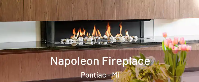  Napoleon Fireplace Pontiac - MI